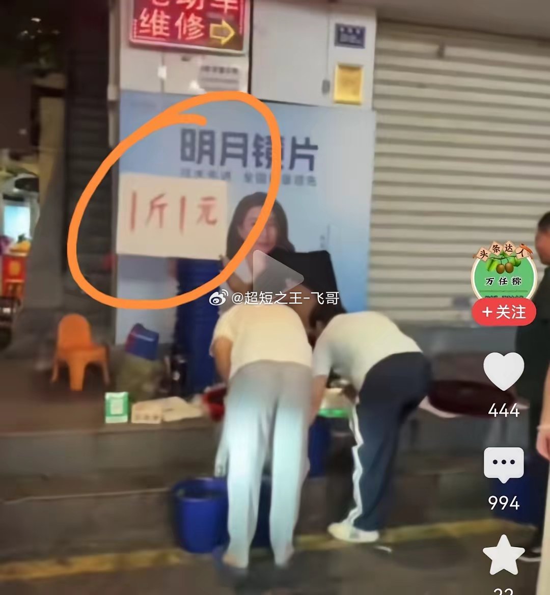 冰火两重天！福建杨梅滞销，果农无奈自救！浙江青田却热销欧洲，经实验室化验合格后远