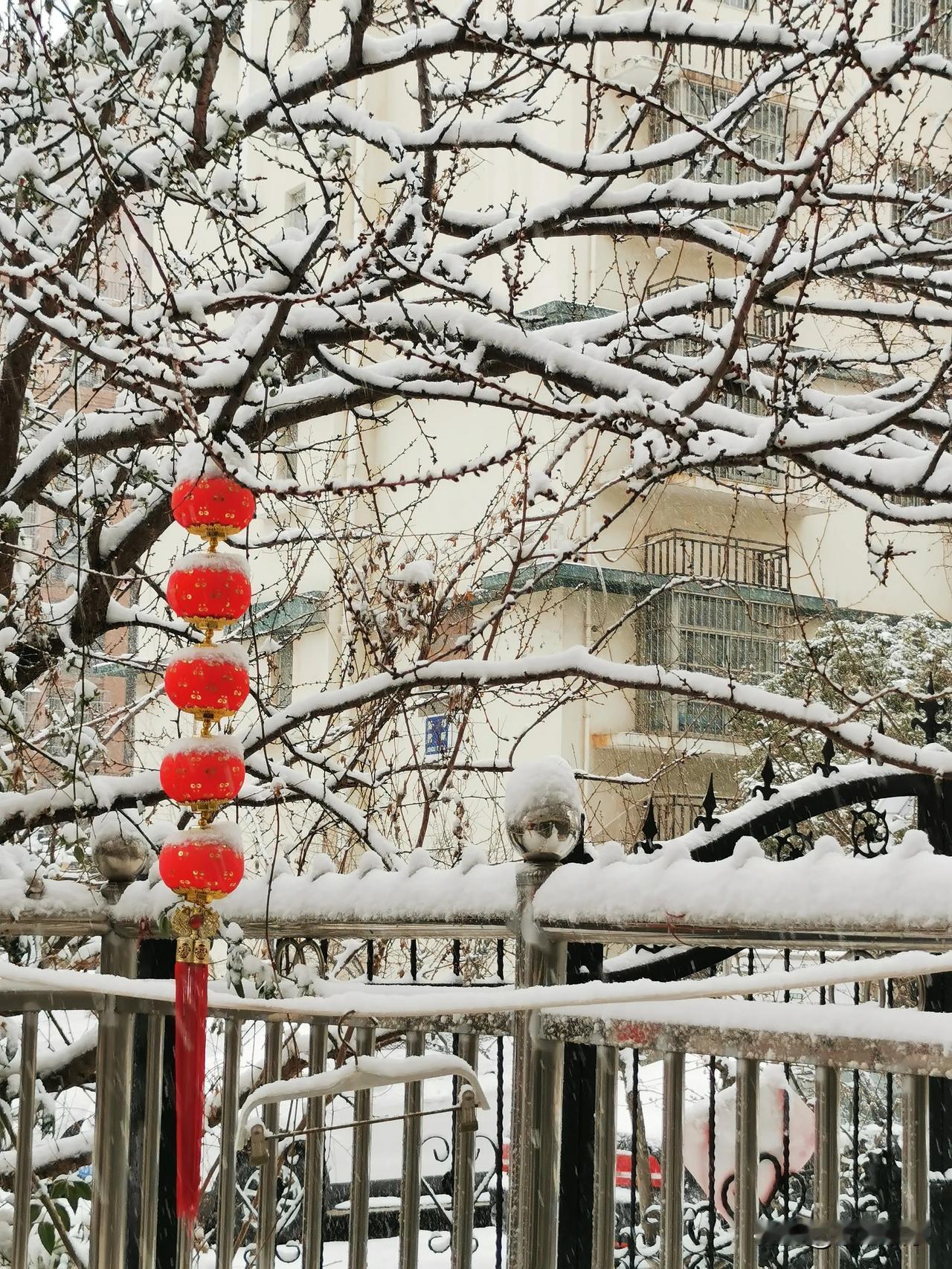 天黑了，雪还在下。老公打电话说：“今晚在厂里住，不回家了。”我说：“别回来了