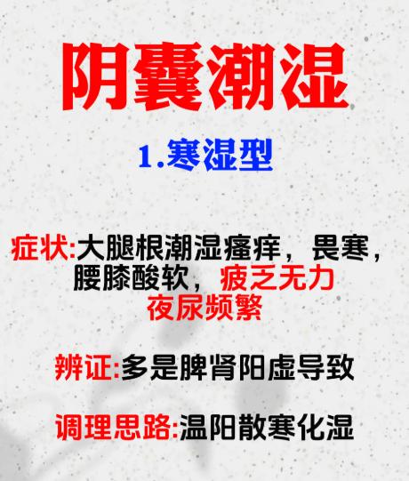 从症状看根源：下焦潮湿的3种常见证型解析