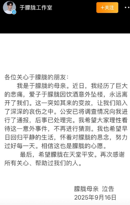 于朦胧母亲泣告：愿逝者安息，愿生者安好满是失去爱子的悲痛与对平静生活的期盼。