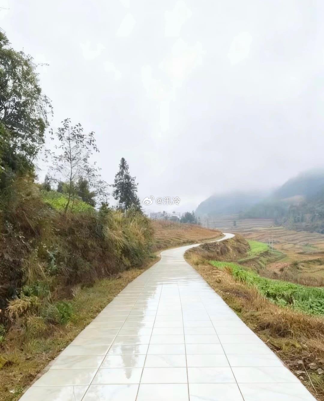 竞选村长的底气…