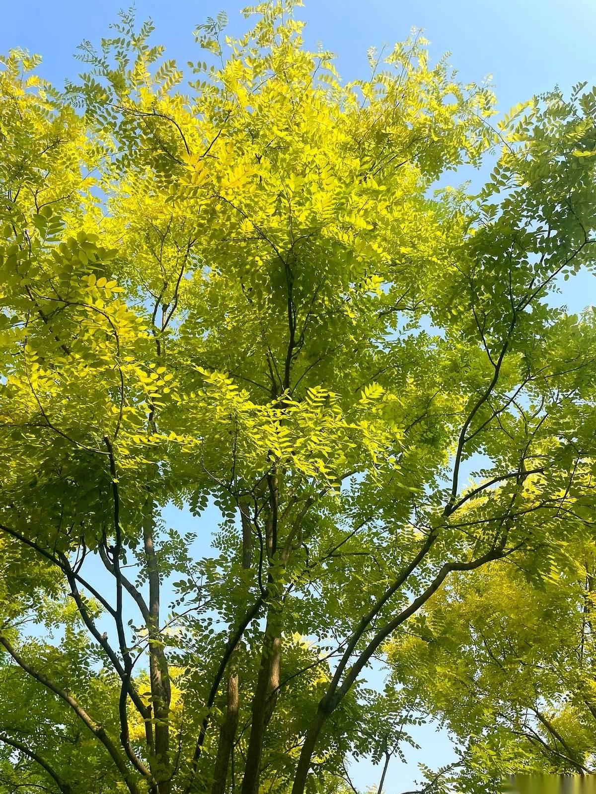 我一哥们儿，开殡仪馆那车的。前两天喝酒，他给我讲了个事儿，他说有个老爷子，他来