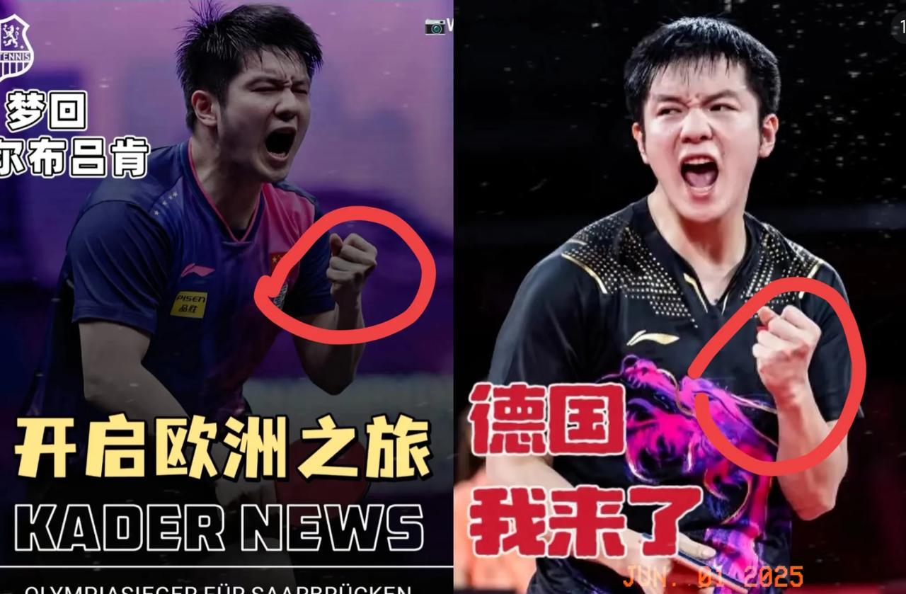 一觉醒来，被樊振东加盟德甲的消息刷屏！不得不说，王励勤这次给樊振东铺的路，暗藏