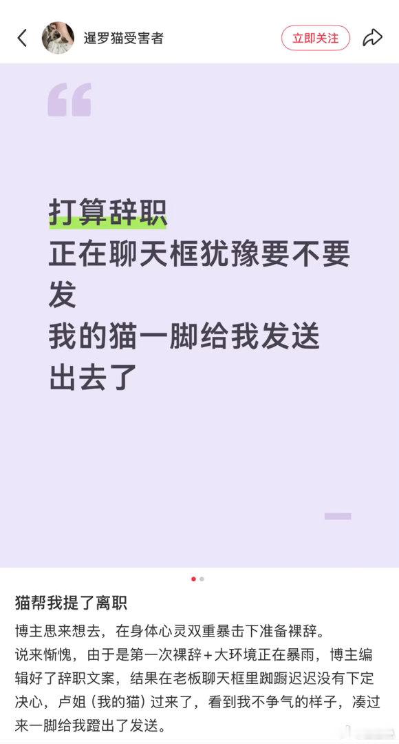 猫帮我提了离职