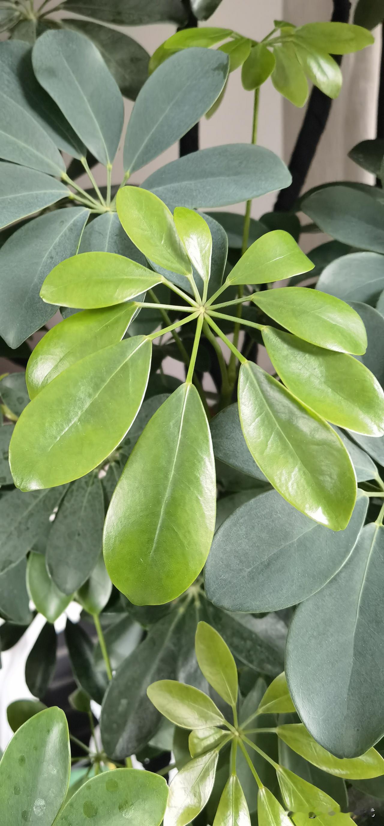 想带孙不被儿媳嫌弃，记住这9句话第一你觉得是关心，儿媳觉得是控制。“天