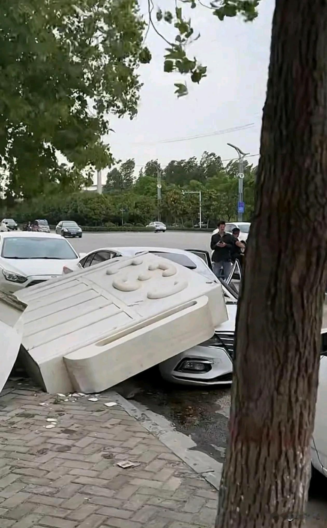 这样的天灾，找保险公司，他们会理赔不？