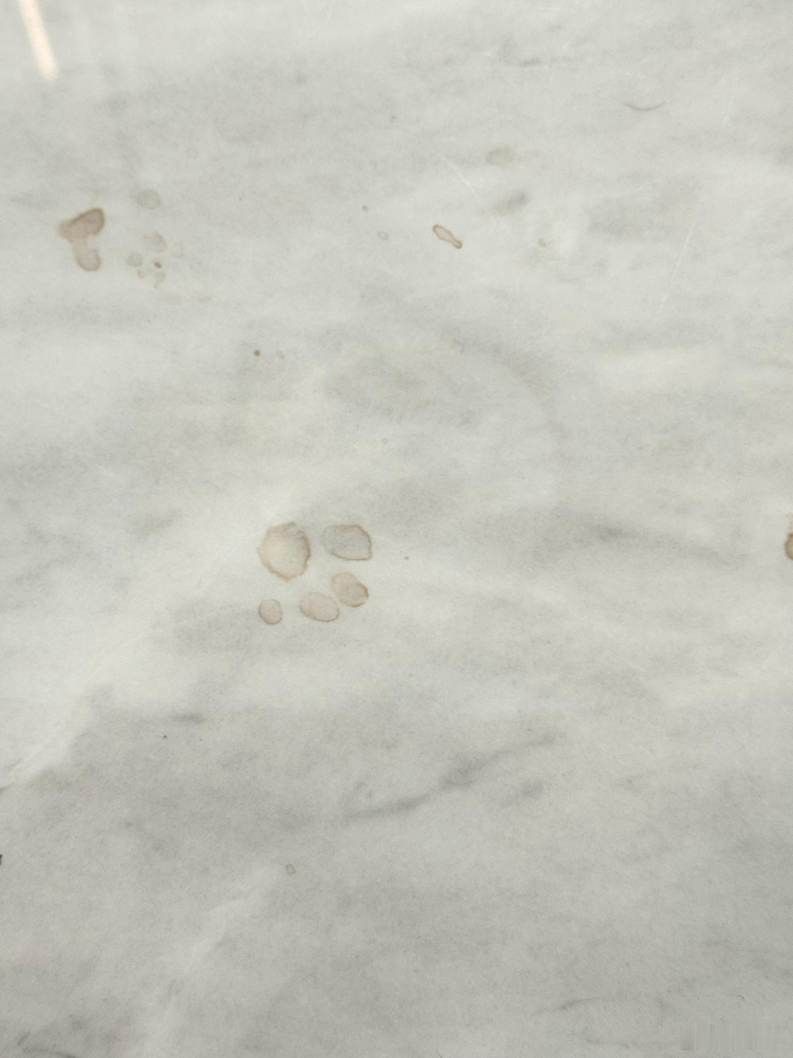 让我猜猜是哪个小傻蛋偷喝马桶水掉马桶里了