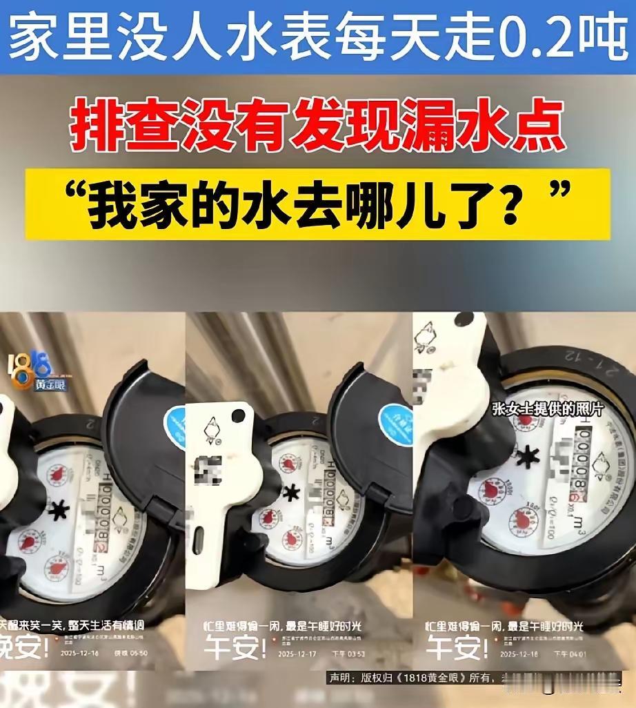 关于张女士家未入住却每天出现0.2吨水的异常用水问题，结合已有的信息和常见的技术