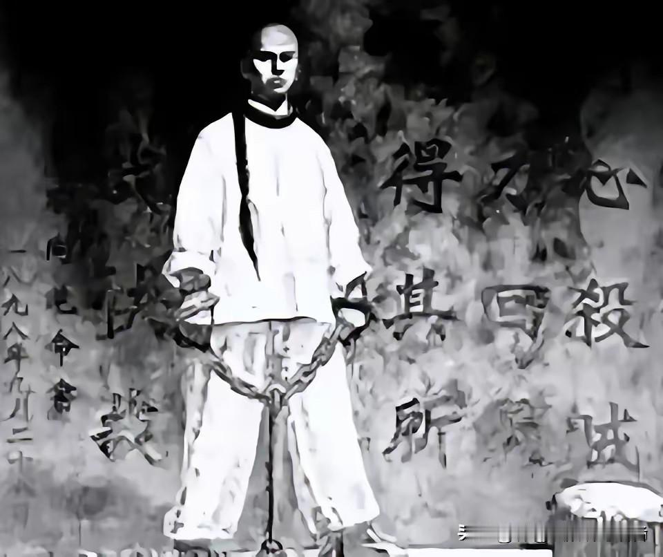1898年菜市口！谭嗣同从容就义，老父泪洒千里，妻子被一狠招拽回生的希望1