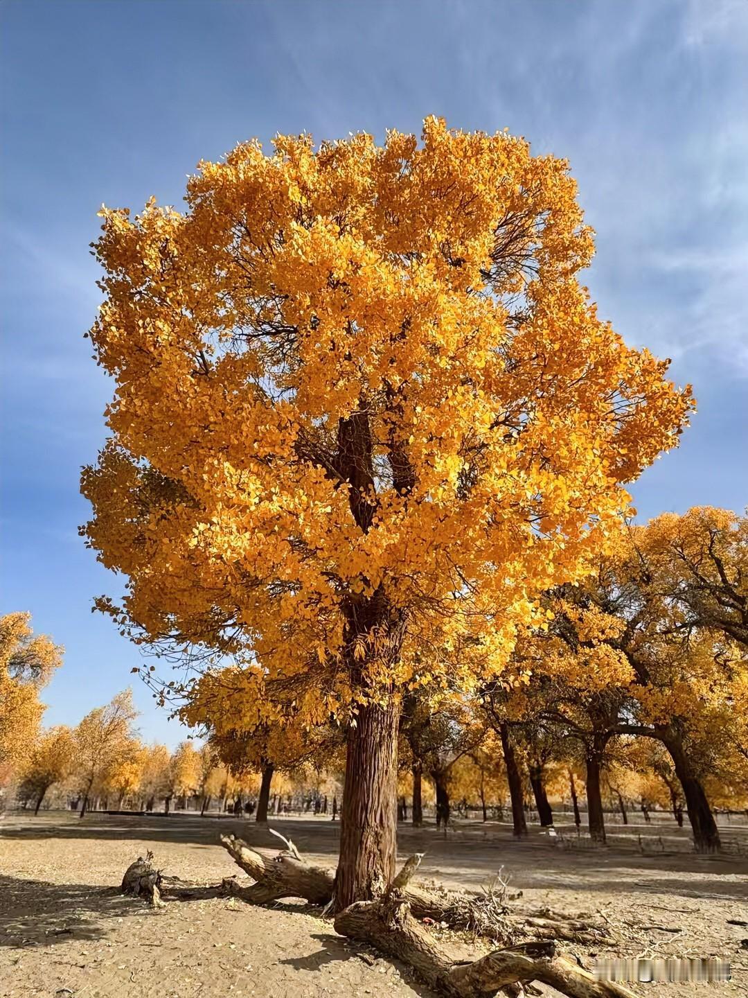 一个家庭条件再好，再有钱，如果找了个不知足的女人也过不好！家家都有难念的经，不可