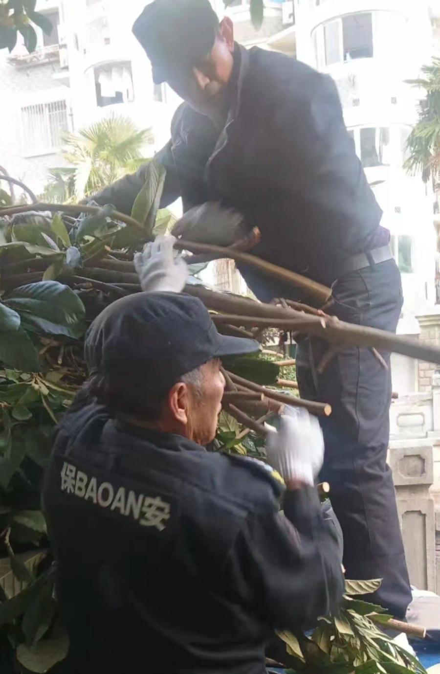 我一个老乡也是当保安的，昨天去看他，过去以后看到他们保安正在修剪小区的绿化带和一