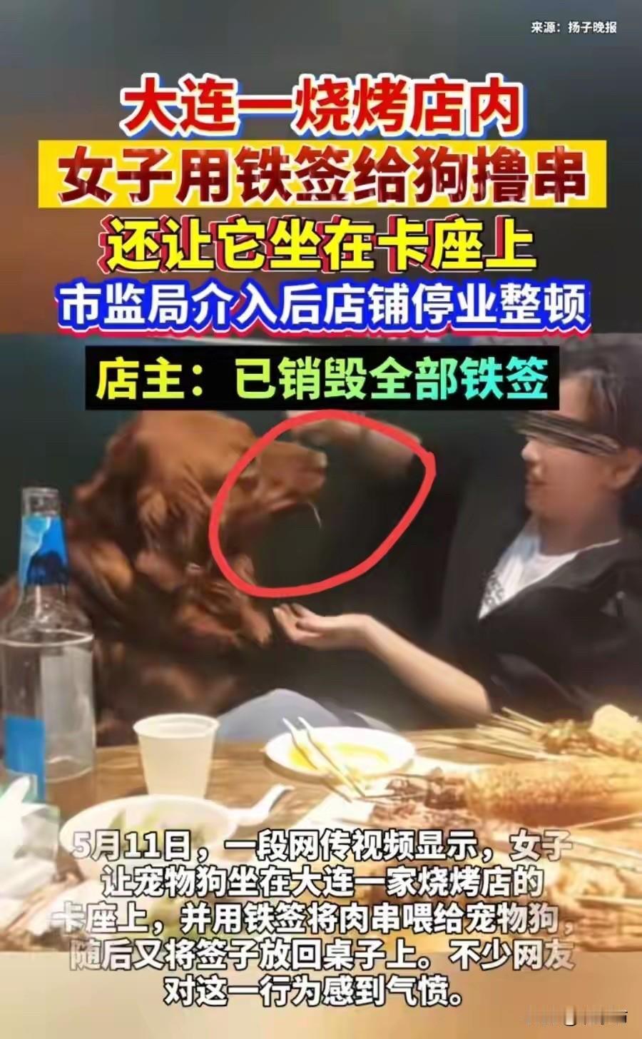 太缺德！大连女子用铁签喂狗：狗是真狗，但你却真不是个人！这两天，全网都在被一
