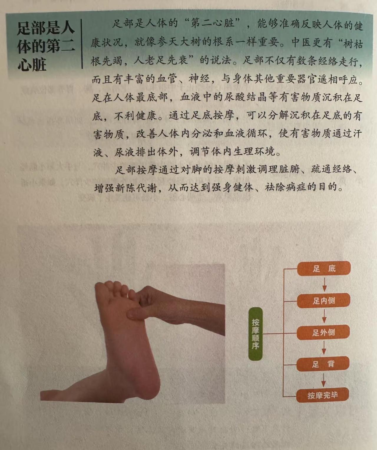 足部是人体的“第二心脏”（收藏）人老足先衰，关注足部按摩。每天学点养生知识健