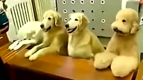 3058330007726704822.jpg?id=0