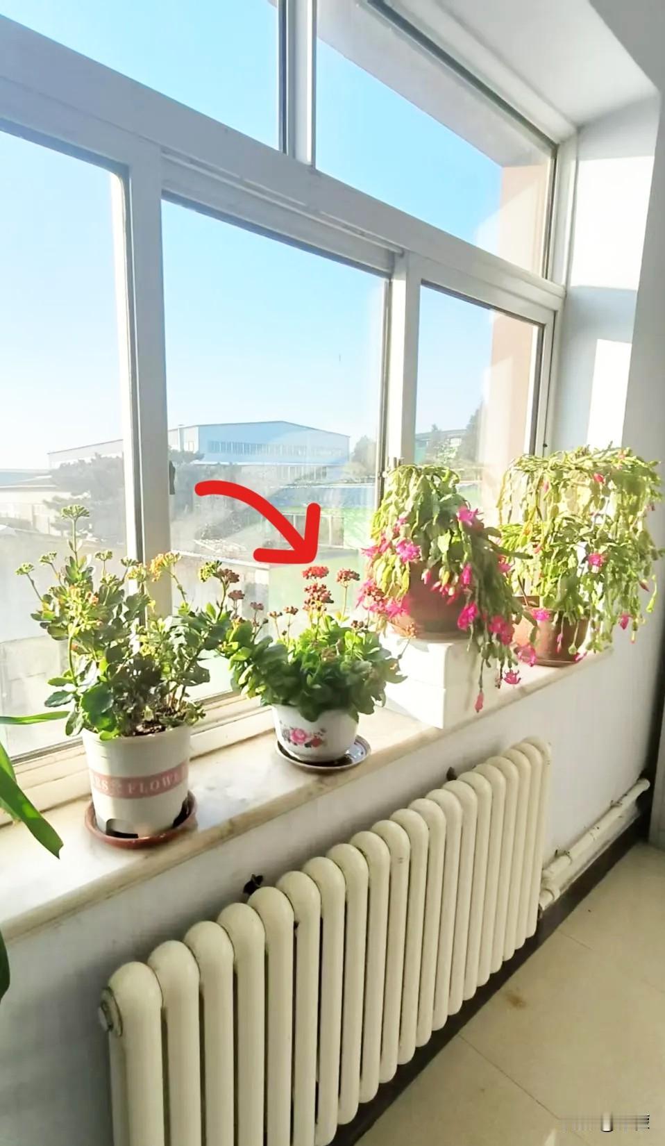 人的命真是天注定！我同学天庭饱满，慈眉善目，鼻子高挺，耳唇又大又厚，大伙都说