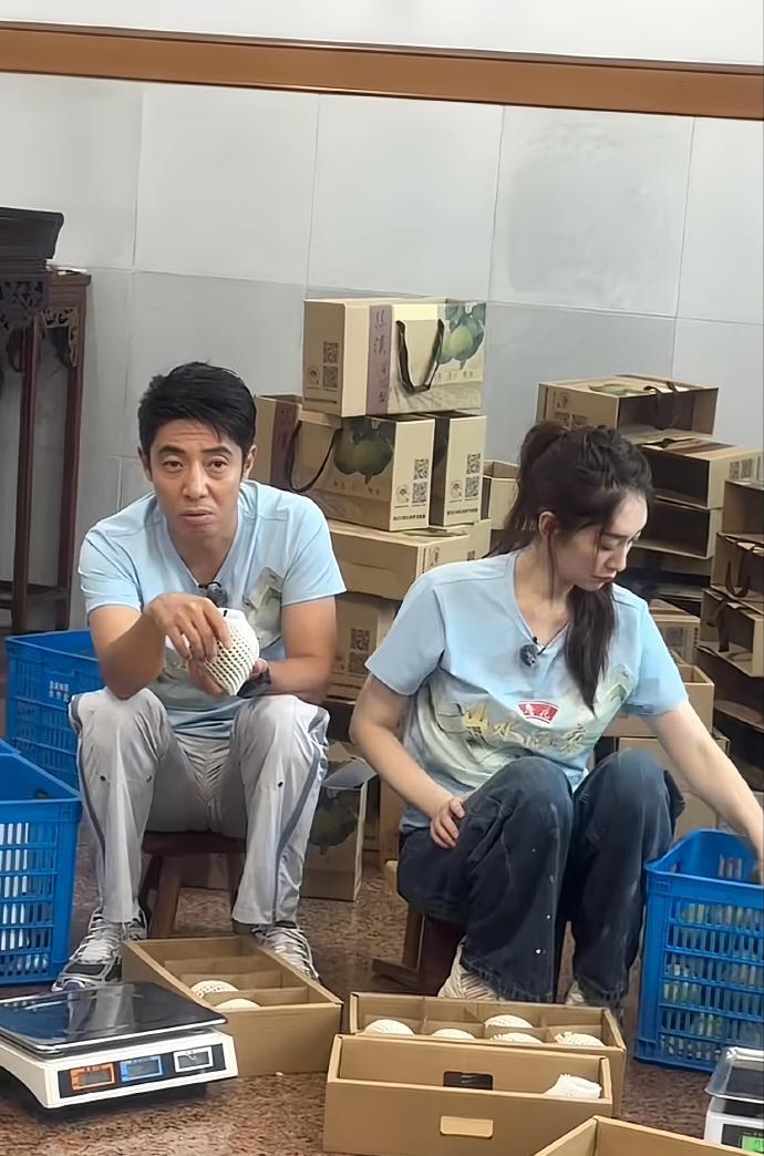 最近李小冉和撒贝宁在录制综艺节目的时候搭配的都很显年轻，两位站在一起还很般配。
