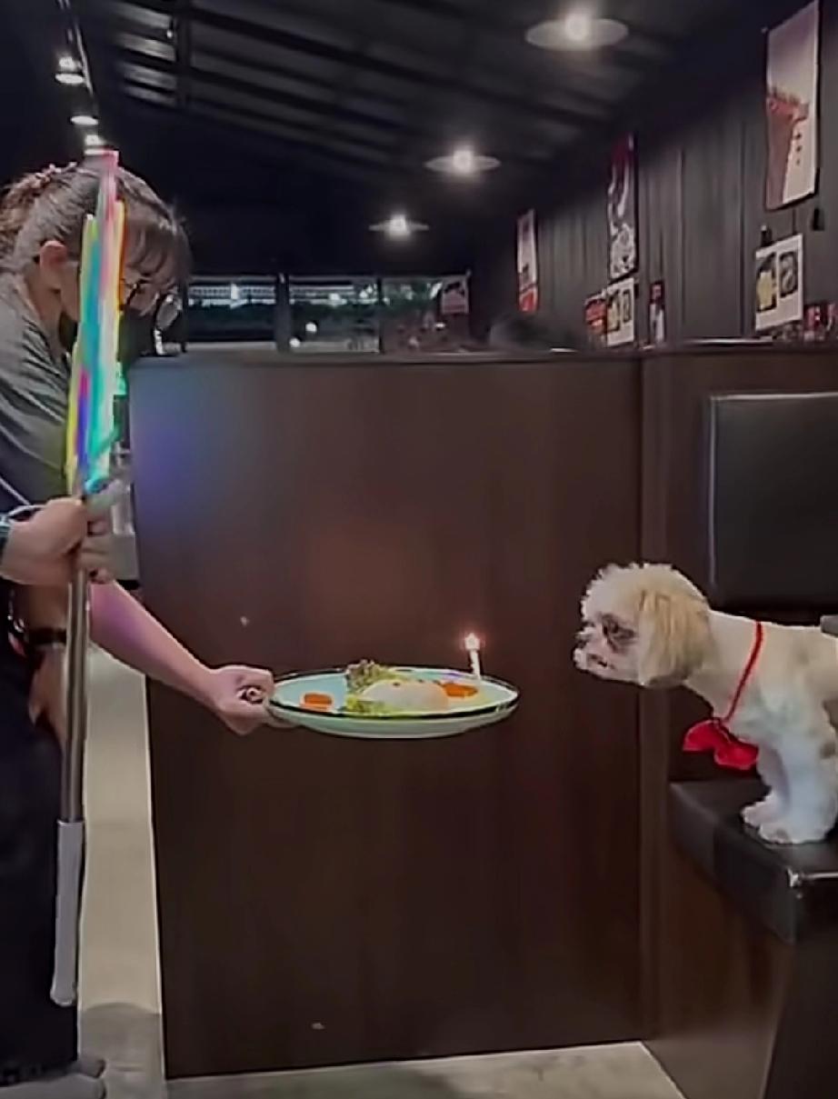 再有人说我活的像条狗一样，我坚决不答应，现在的我拿什么和狗比？狗都能过生日了，我