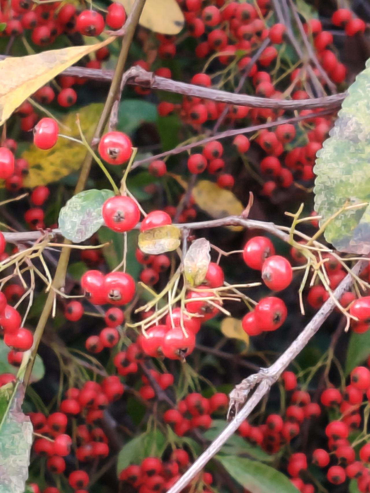 牛市和熊市有什么区别。牛市的时候，大多时候都是V型走势！而熊市的时候，走的是
