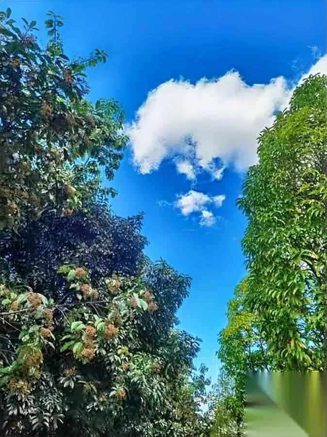 养娃别太苛责孩子!否则受伤的会是谁?最近刷到段话特别扎心:父母对孩子要求