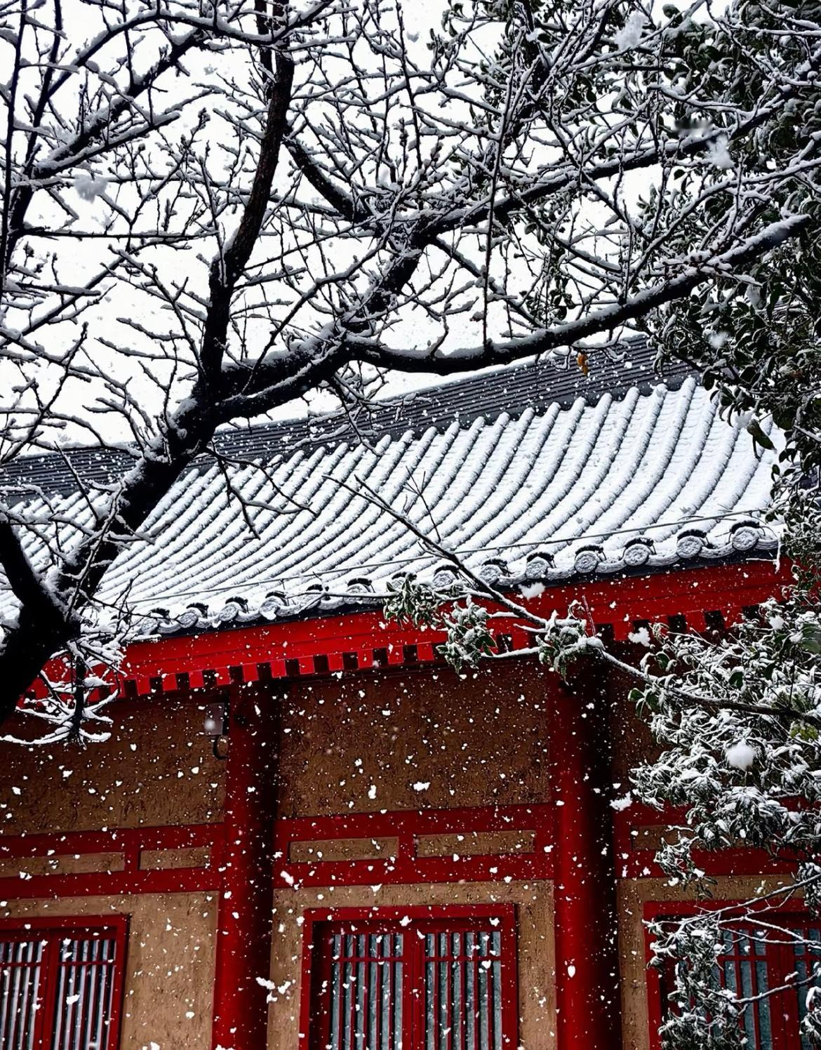 西安大雪哇～隔着屏幕都感受到雪花有多大了！这几天在西安旅游的可是赚到了，一下能打
