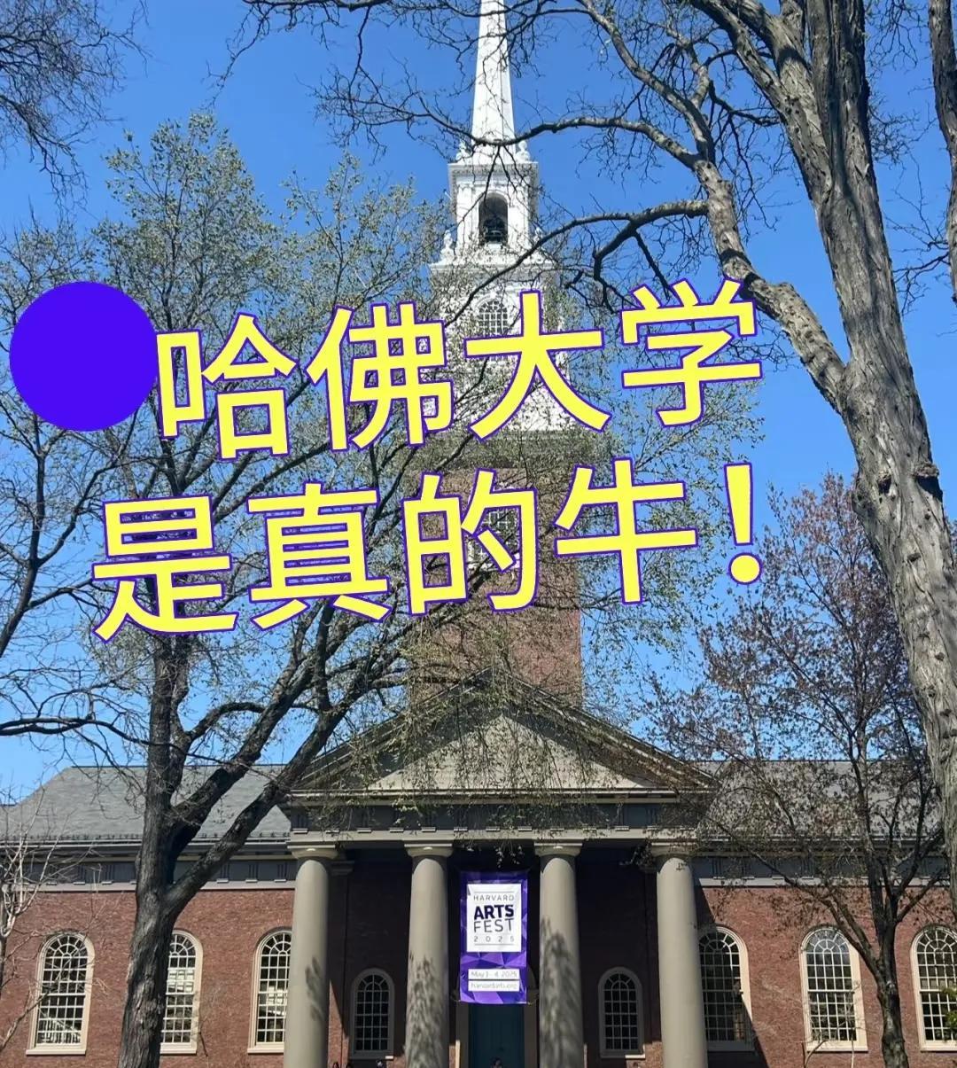 哈佛的天塌了！这回真的玩大了何猷君的话含金量还在上升，不出一兵一卒，就可以看