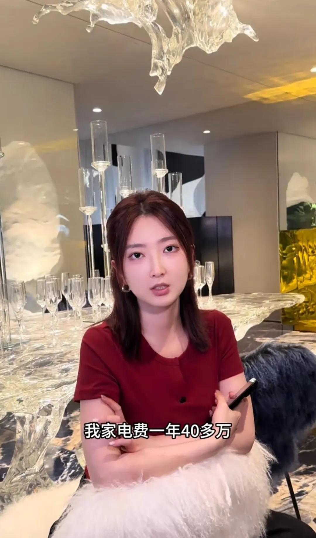 浙江31岁女子一年电费40万，1000平别墅用电量惊人！这笔巨额电费支出