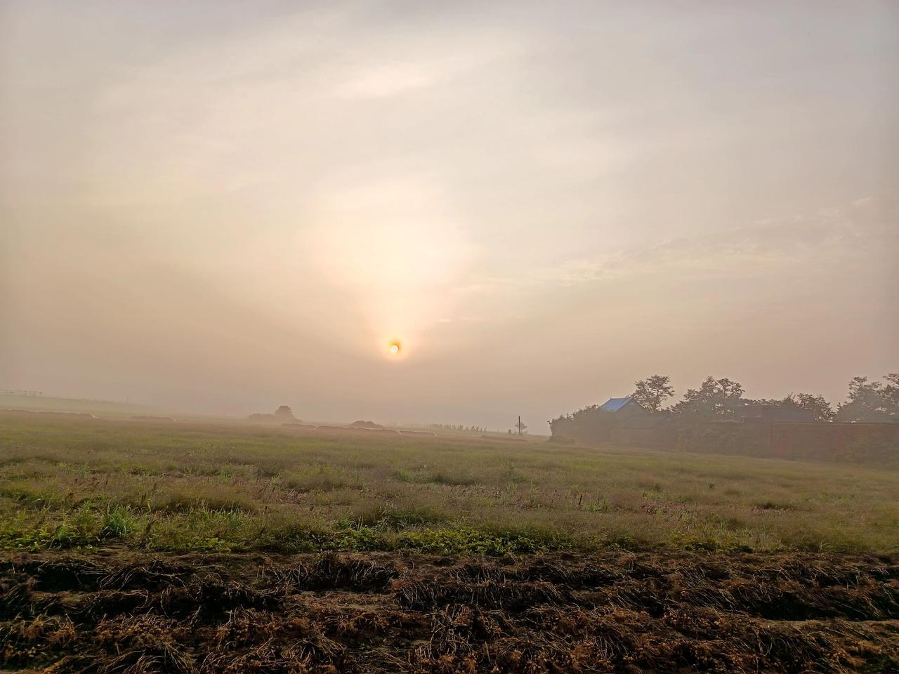 果然，最治愈的还是它们。