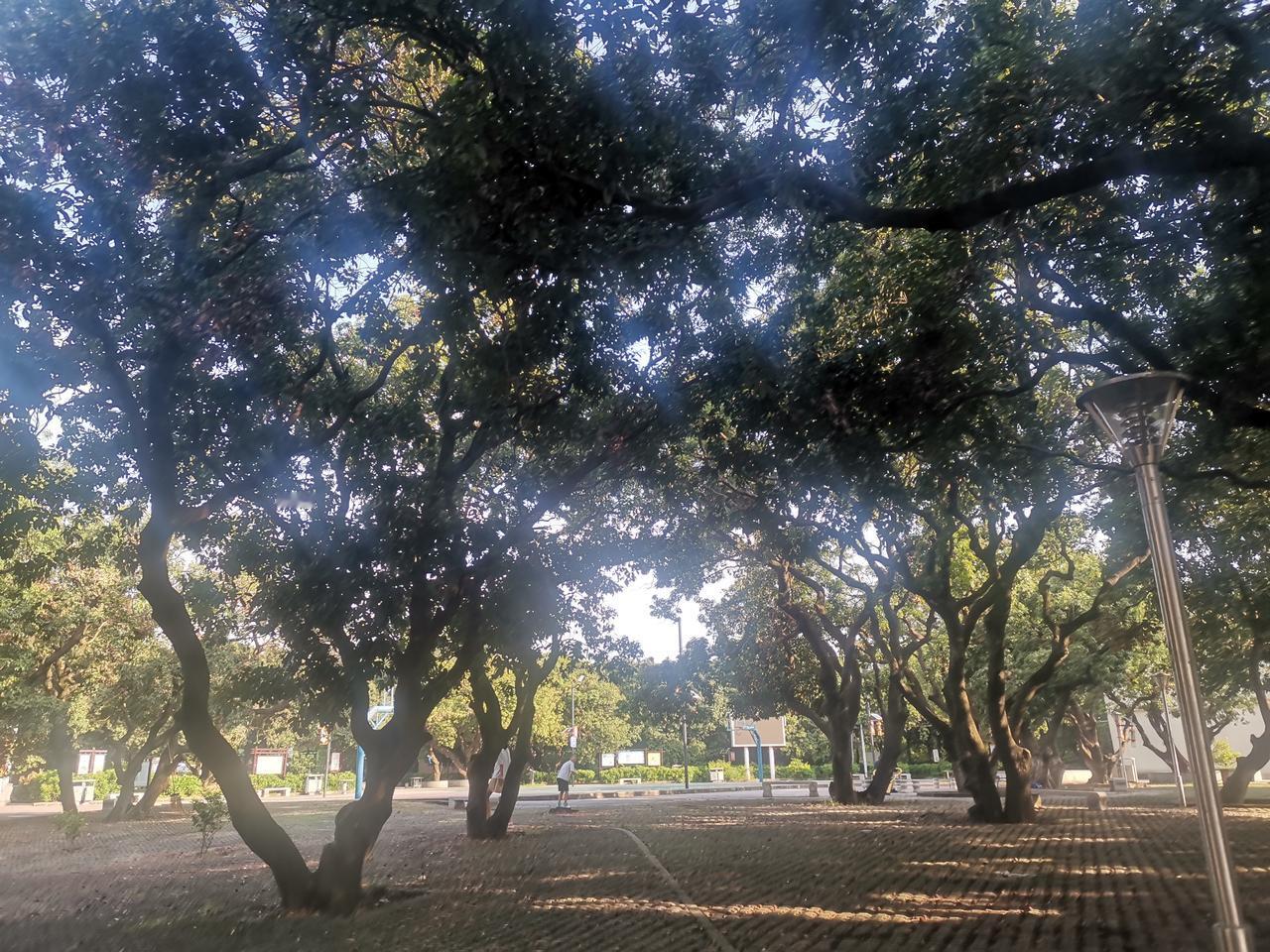 强烈建议教育部不仅仅只发通知，还要检查落实。今年下半年一共发了这些通知：1.《