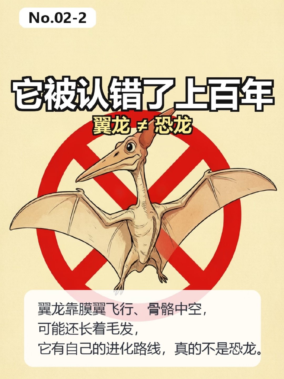 哇卡！这个可以有，好羡慕新疆的小伙伴，另外科普一下，翼龙真的不是恐龙！恐龙是陆生