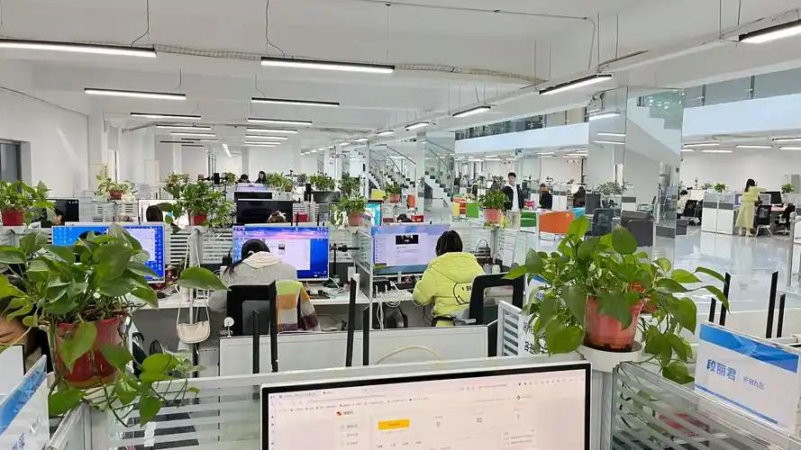 15人团队败走中国，3个教训别再踩在电商发展的早期，速度与可持续性的矛盾，