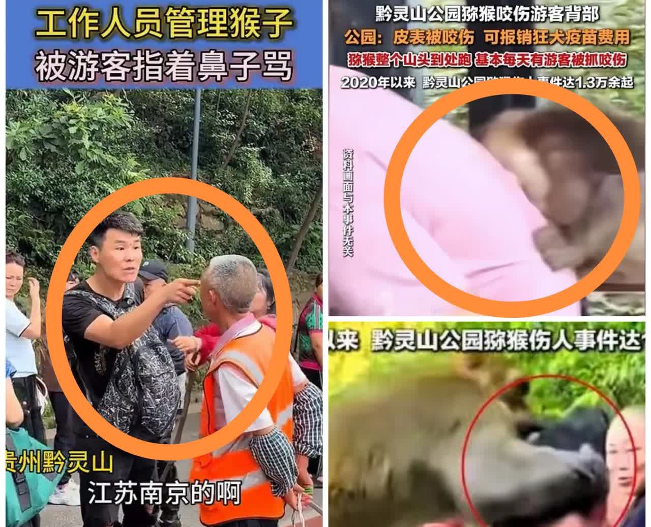 我朋友是贵阳的，他说管理人员是公园专门请的不是因为猴子没人喂，也