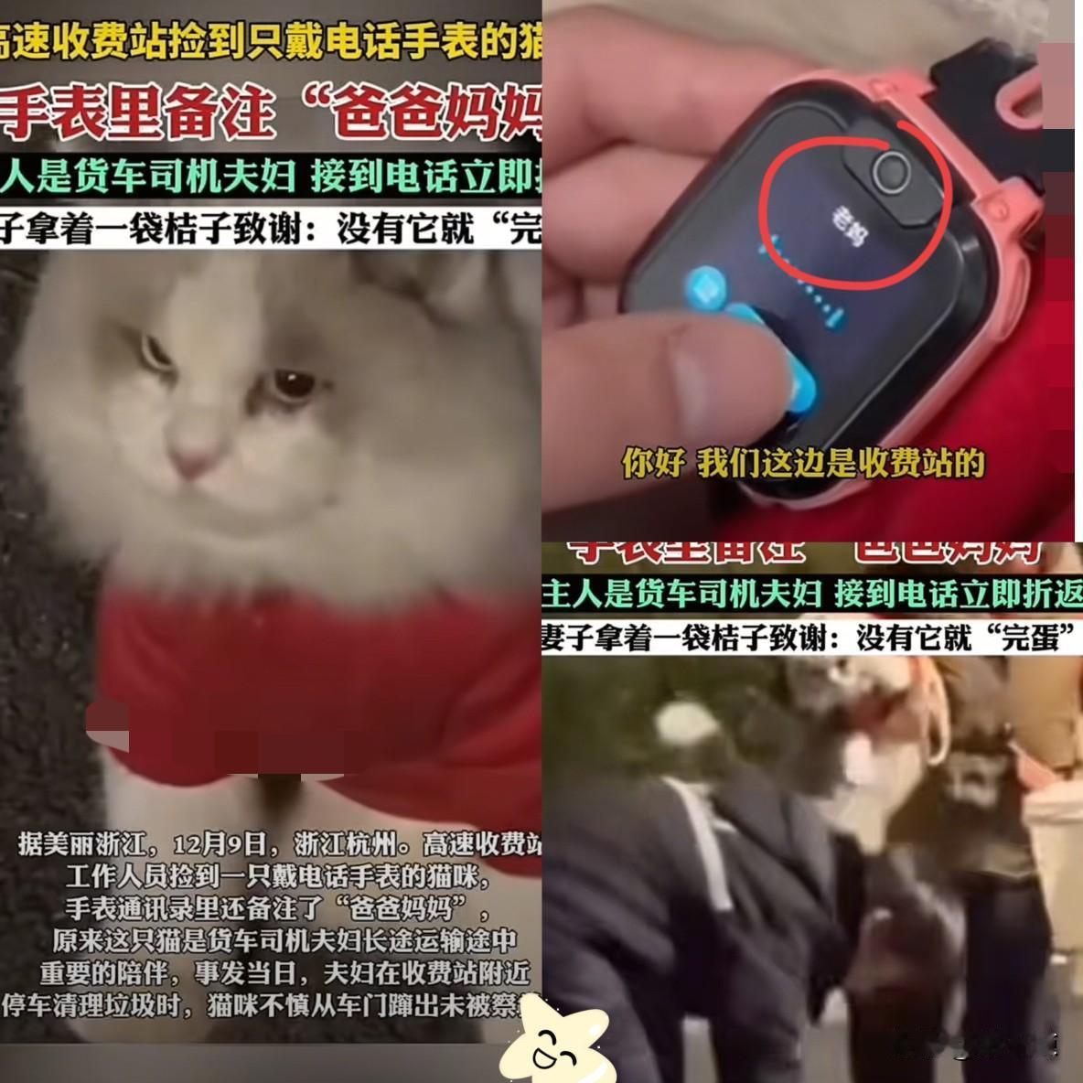 浙江，高速收费员在收费站捡到一只穿着衣服的小猫，更令人意外的是，这只猫咪居然佩戴