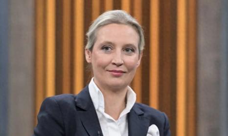 魏德尔伺机夺权！73%的德国人不欢迎默茨连任总理：74岁太老了！根据德国Fo