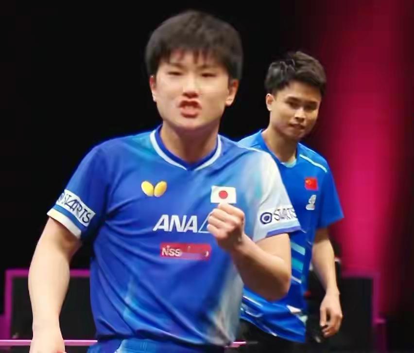 张本智和打疯了，陈俊崧在哪里？多哈WTT冠军赛，张本智和越战越勇，对国乒两连