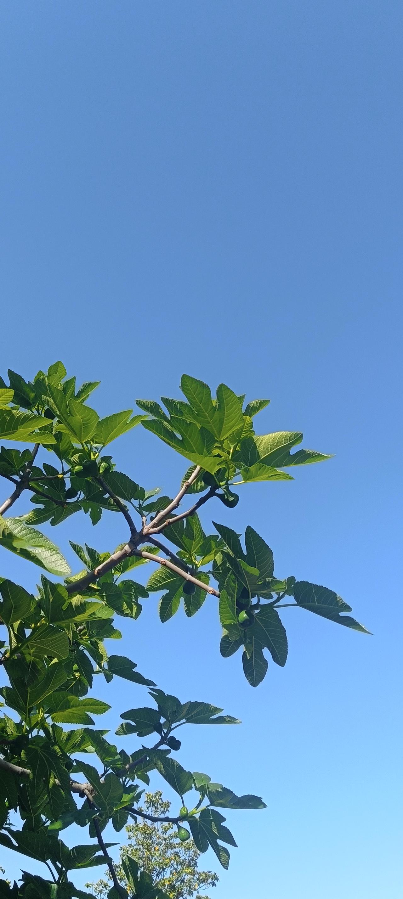 风雨落花，心有暖阳！傍晚时分，隐约听见窗外雨声淅沥，起初并未在意。春雨本就缠绵