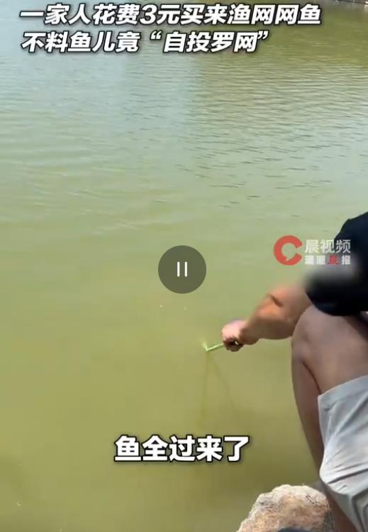 “万万没想到！”8月11日文登发布报道，河南鹤壁，爸爸花3块钱给儿子买了一个小网