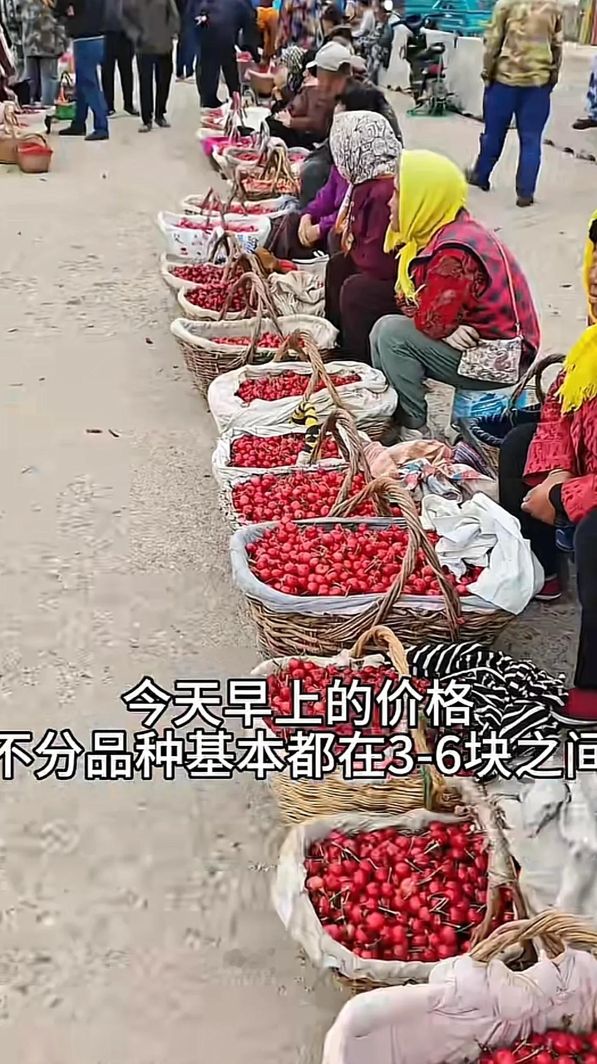 别闹，啥樱桃2块一斤！我前天买的还10块一斤呢，直到我刷到一位博主分享的烟台张格