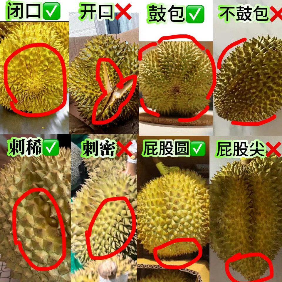 榴莲价格迎大跳水又想骗我去买榴莲？看见热搜我就去了，结果到超市一看还是好几十！说