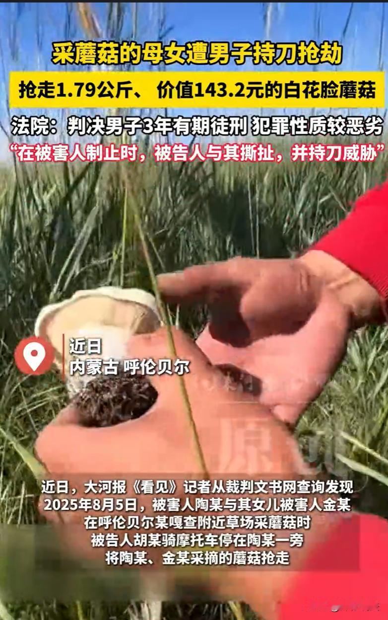 内蒙古呼伦贝尔，一女牧民带着女儿在草原上采蘑菇，不一会儿，篮子里攒了小两公斤的白