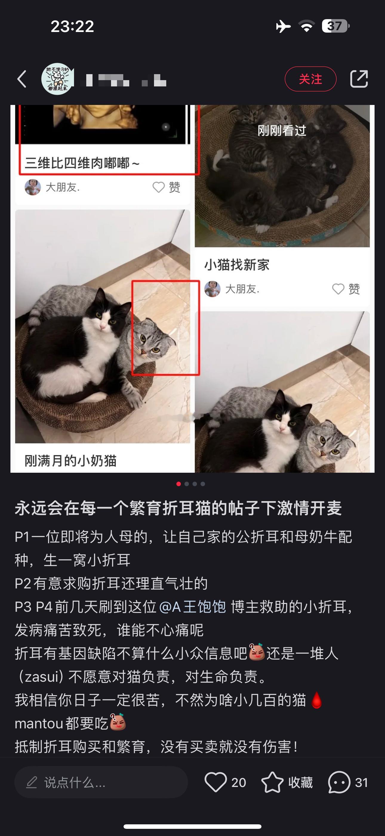 看到折耳猫和矮脚猫不要再点赞了也不要购买了你们跟大洒逼一样[害羞]小心遭报应