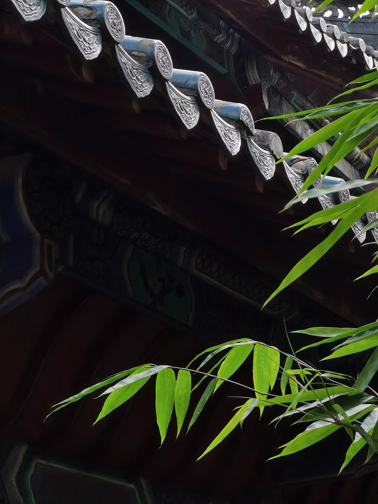 《道德经》言:“天道无亲,常与善人”,这句话太有深意了。就像《易经》里讲“厚德载