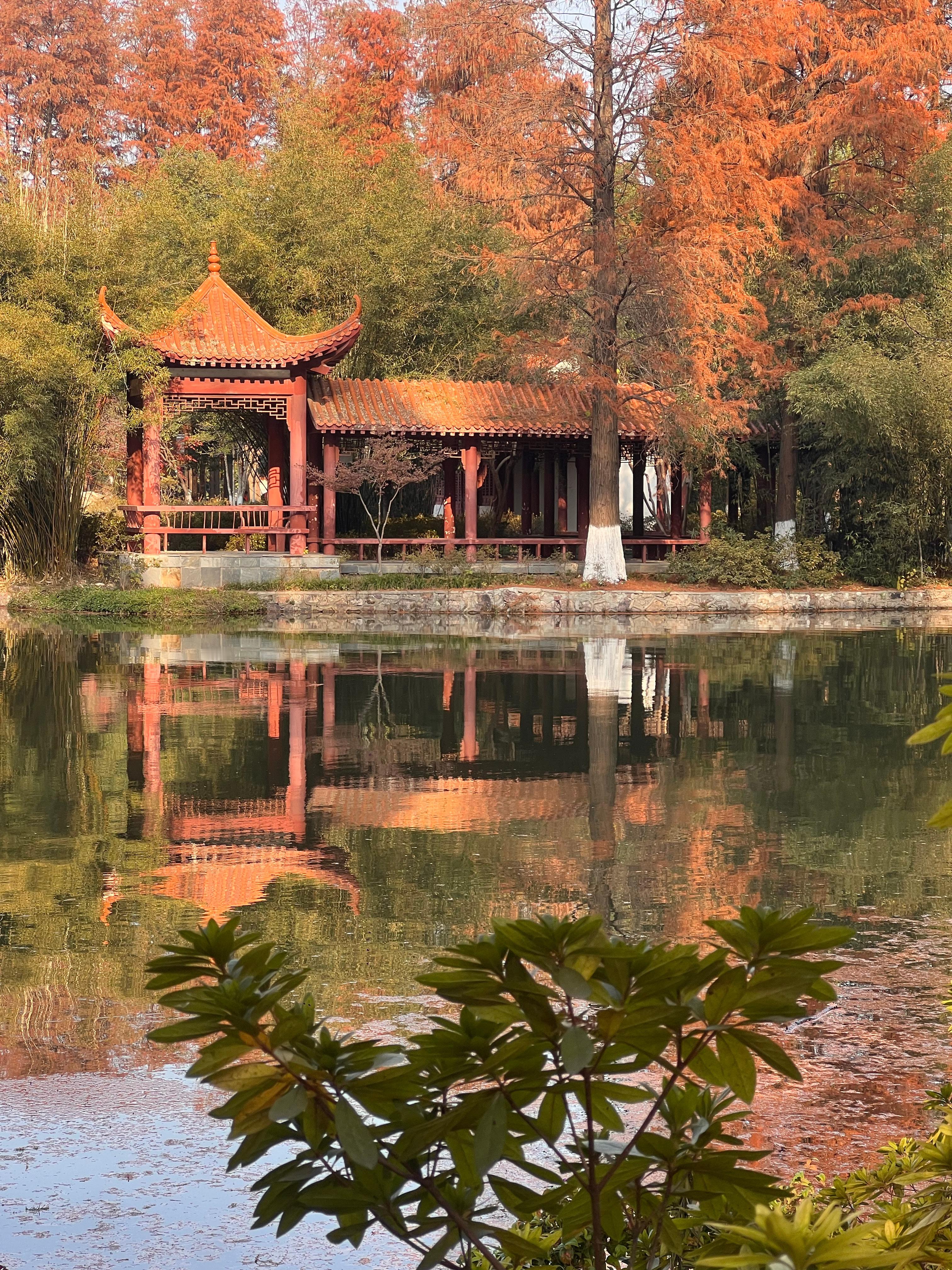 今天带我去了青山公园，妈呀好美啊，武汉真的有很多漂亮的公园，但这里安静又单纯，秋