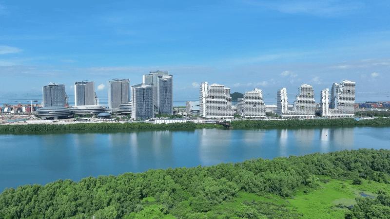 企鹅岛，腾信新总部基地，全称“互联网+”未来科技城，坐落于深圳宝安大铲湾片区，靠