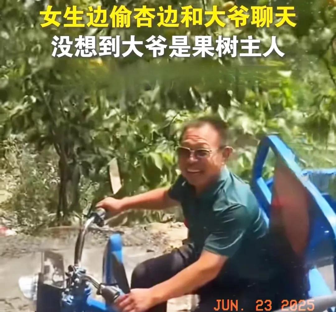 近日在河北，发生了这样一件趣事：有个女生在偷杏的时候，还和大爷聊起了天。聊天过程