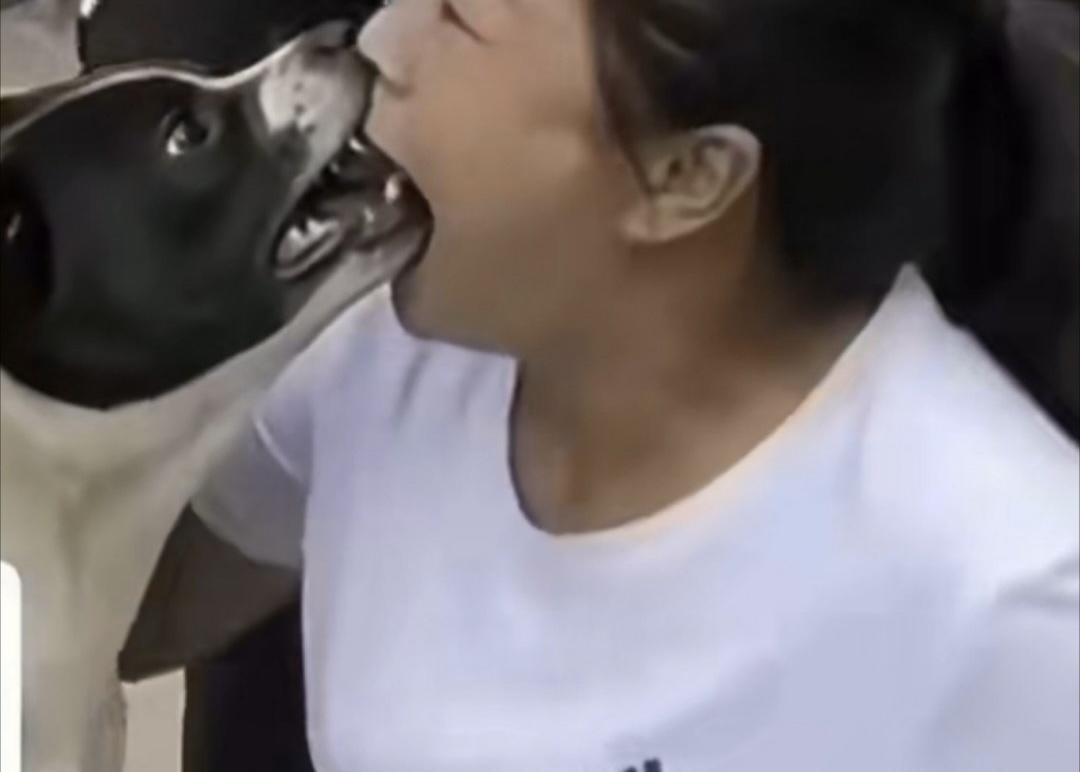 刷到个视频，看得人后背直发凉。一位爱狗人士凑过去和自家狗亲嘴，本来是想表达亲近，