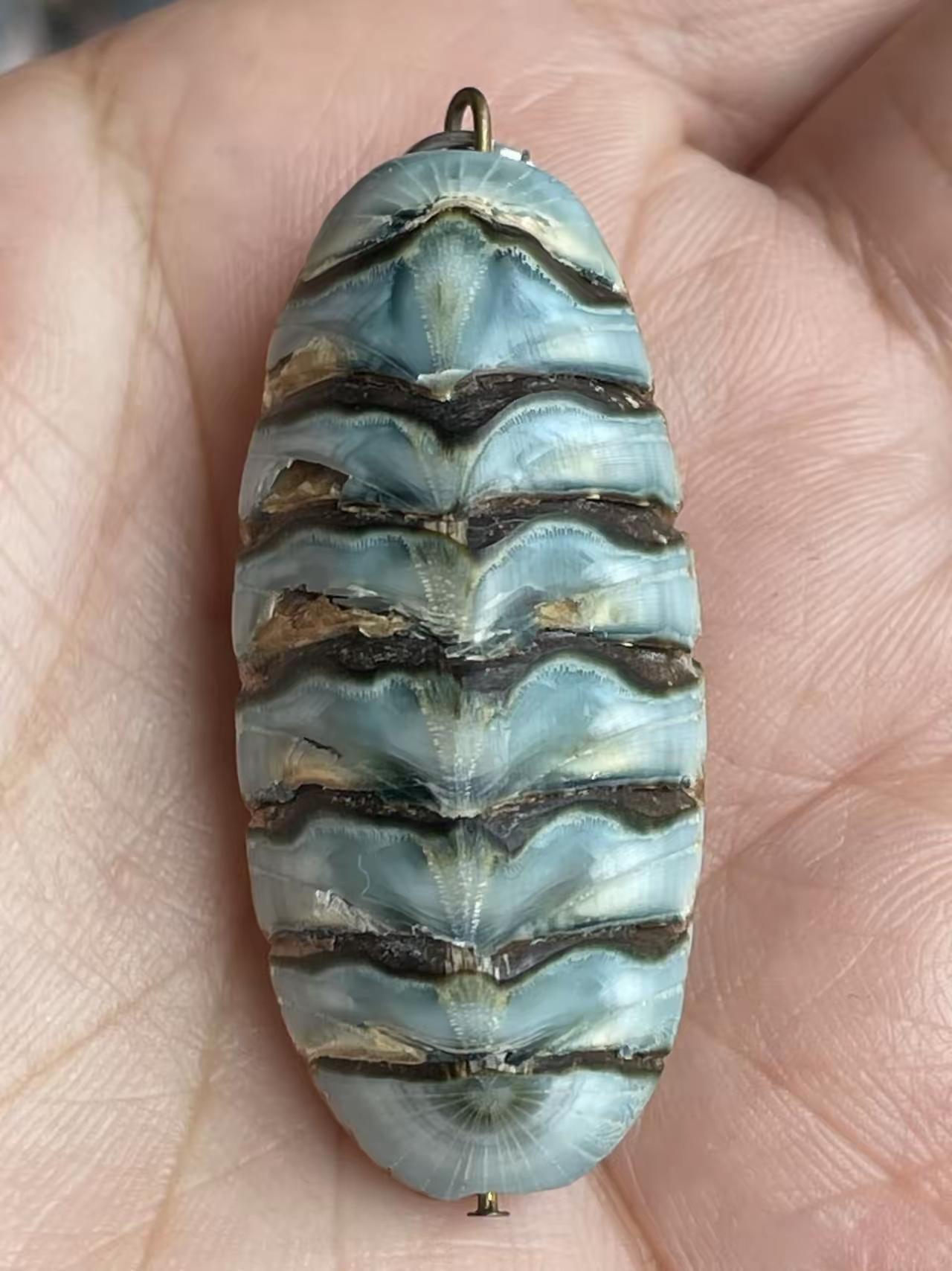 中午洗衣服，发现老公口袋里有东西，掏出来一看吓我一跳，我以为是毛毛虫。仔细一看才