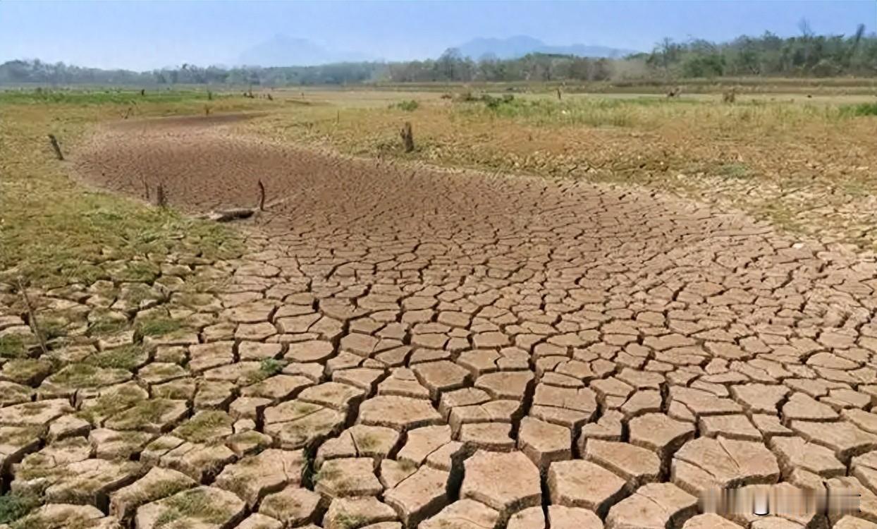 南水北调通了十二年，地下水真回来了，可没人说清这水到底改了啥。2014年中线通