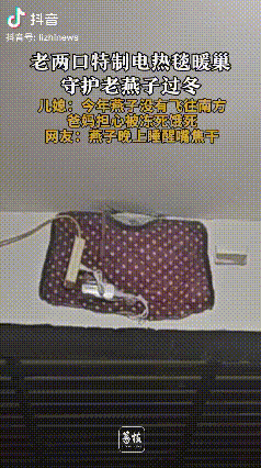 太暖了！河北保定，两位老人发现门前有两只燕子，可能是因为太老了，并没有跟着一起飞