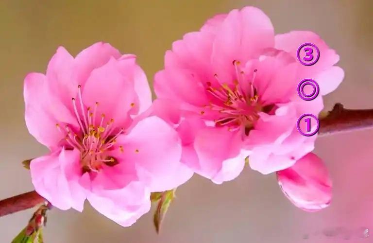 5月30号端午节送香囊香方，这几种材料值得入手一般大家很喜欢知道这个香包带着有什