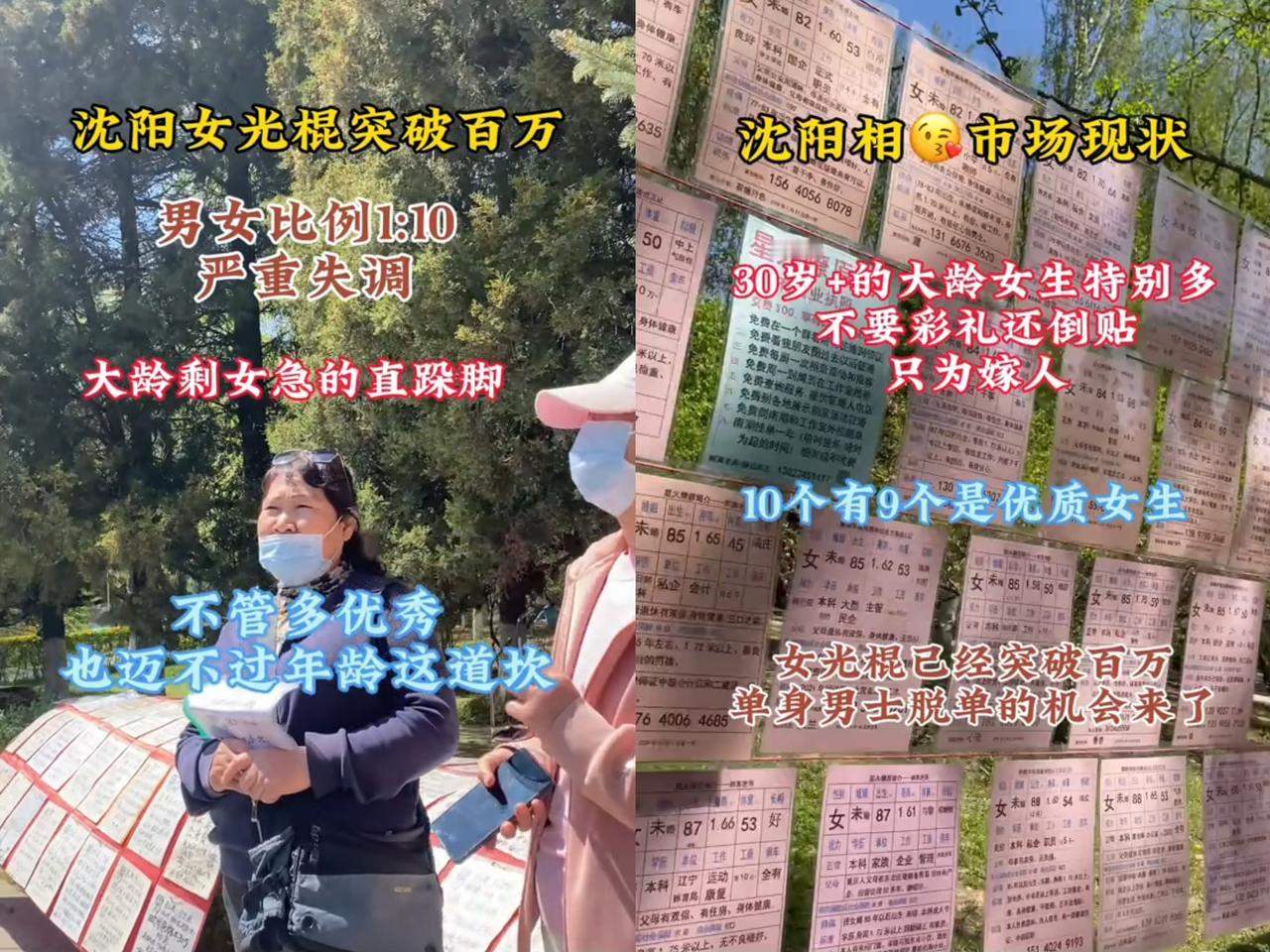 沈阳剩女这下好像真能“躺平”了！据说沈阳剩女达100万，38岁左右的不少都难